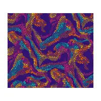 Rainbow Beach Waves - design