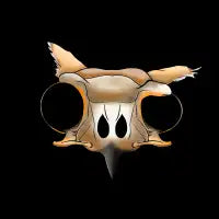 Owl Dude - design