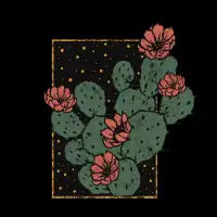 Desert babe - design