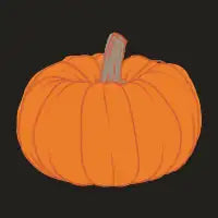 Simple Fall Pumpkin Illustration - design