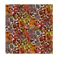 Fall - design