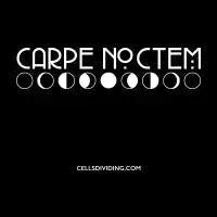 Carpe Noctem "Seize The Night" Latin Phrase - design
