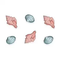 Beachy Shells - design
