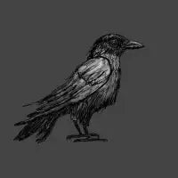 Gothic Raven - design