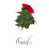 Ouid - design