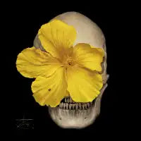 Skullflower 2 - design