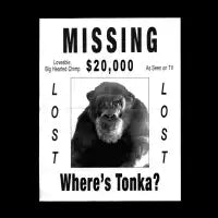 Missing - design