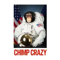 Space Chimp Crazy - design