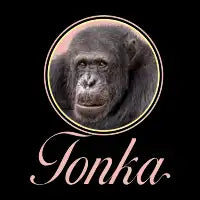 Tonka the Chimpanzee - design