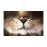 Cat mask - design