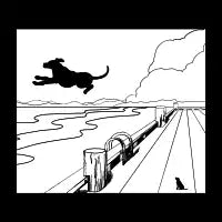 Dog jumping from Mapua Wharf, New Zealand - design
