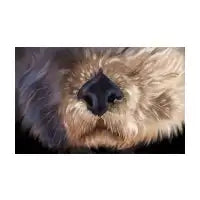 Otter mask - design