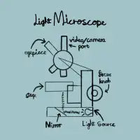 Light Microscope Diagram T-Shirt - design