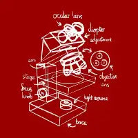 Light Microscope Diorama Sketch White - design
