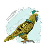 Kea - design