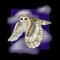 Barn Owl in Flight - design