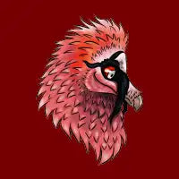 Bearded Vulture Head - design