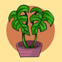 Monstera Hearts - design