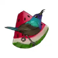 Palestinian Sunbird and Watermelon - design