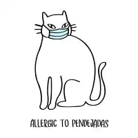 allergic to pendejadas - design