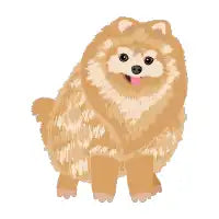 Pomeranian dog - design