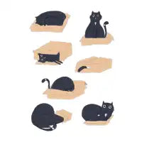 Schrödinger cats - design