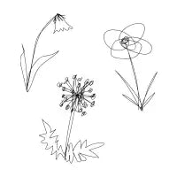 Dainty - design