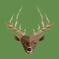 Deer - design