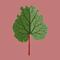 Rhubarb - design