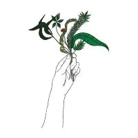 A gift - design