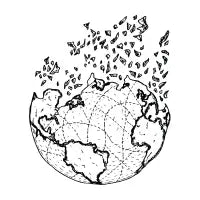 Ashes - design