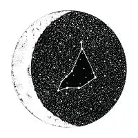 Capricorn - design