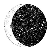 Pisces - design