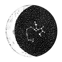 Sagittarius - design