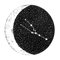 Taurus - design