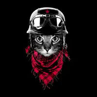 Adventurer Cat - design