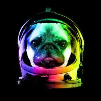 Astronaut Pug - design