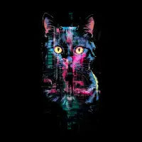 Cat Vision V2 - design