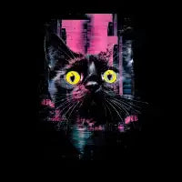 Cat vision - design
