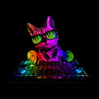 Cool Cat Dj - design
