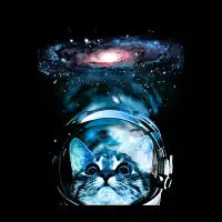 Cosmos Cat V2 - design