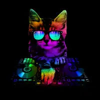 Dj Cat - design