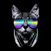 Dj Cat - design