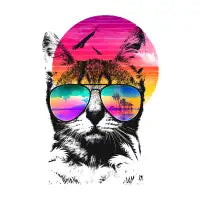 Summer Cat - design