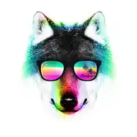 Summer Wolf - design