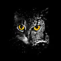 Cat and owl face - design