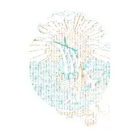 N/N - design