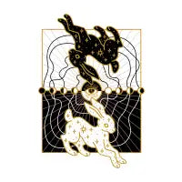 moon rabbit - design