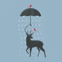 RainDeer - design