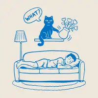 Cat Chaos - design